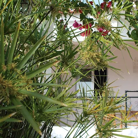 Quinta Da Alfarrobeira - Vale Parra - Guia Country house