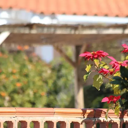 Quinta Da Alfarrobeira - Vale Parra - Guia Country house