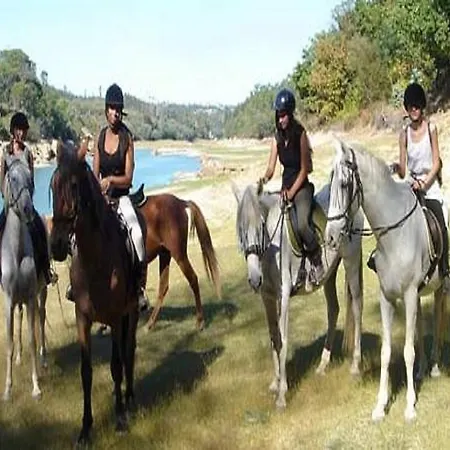 Quinta Da Alfarrobeira - Vale Parra - Guia Албуфейра